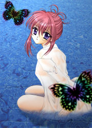 Rule 34 | 00s, 1girl, bug, butterfly, chikage (sister princess), female focus, bug, naked shirt, purple hair, see-through, shirt, sister princess, solo, wet, wet clothes, white shirt