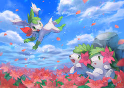 Rule 34 | blush, bright pupils, cloud, commentary request, creatures (company), day, eye contact, fang, field, flower, flower field, game freak, gen 4 pokemon, gracidea, green eyes, highres, kikuyoshi (tracco), legendary pokemon, looking at another, mythical pokemon, nintendo, no humans, open mouth, outdoors, petals, pokemon, pokemon (creature), rock, shaymin, shaymin (land), shaymin (sky), signature, skin fang, sky, sparkle, toes, tongue, white pupils