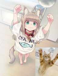 Rule 34 | 40hara, :3, animal print, arms up, barefoot, blonde hair, blunt bangs, blush, buckle, cat, cat tail, collar, counter, fish print, green eyes, highres, kinako (40hara), long hair, looking at viewer, motion blur, name tag, original, oversized clothes, oversized shirt, photo inset, red collar, reference inset, shirt, sidelocks, solo, standing, tail, white shirt, wooden floor