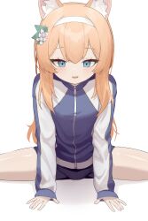 Rule 34 | 1girl, absurdres, animal ear fluff, animal ears, arm support, blue archive, blue eyes, blush, cameltoe, flexible, flower, gym shorts, gym uniform, hair flower, hair ornament, hairband, highres, jacket, long hair, long sleeves, looking down, mari (blue archive), mari (track) (blue archive), multicolored clothes, multicolored jacket, official alternate costume, open mouth, orange hair, pg (pege544), ponytail, shorts, sitting, sleeves past wrists, smile, solo, split, spread legs, stretching, track jacket, two-tone jacket, white flower, white hairband, wide spread legs