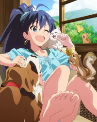 Rule 34 | 10s, 1girl, ;d, animal, aqua eyes, barefoot, black hair, bracelet, cat, character name, d:, day, dog, earrings, fang, feet, foot focus, ganaha hibiki, hamster, hamuzou, idolmaster, idolmaster (classic), idolmaster million live!, inumi, jewelry, long hair, official art, one eye closed, open mouth, ponytail, smile, soles, squirrel, toes, wink