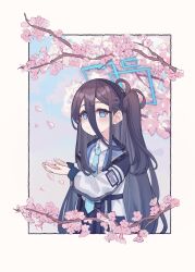 Rule 34 | 1girl, absurdly long hair, absurdres, aris (blue archive), black hair, black hairband, blue archive, blue eyes, blue halo, blue necktie, blush, cherry blossoms, closed mouth, collared shirt, hairband, halo, highres, jacket, long hair, long sleeves, looking at viewer, necktie, one side up, open clothes, open jacket, petals, revision, ricke 2002, shirt, solo, very long hair, white jacket, white shirt