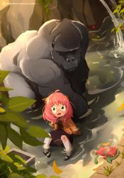 Rule 34 | 1girl, absurdres, ahoge, animal, anya (spy x family), blush, child, crying, director chimera (spy x family), dot nose, dress, full body, gorilla, green eyes, hairpods, harambe, highres, injury, khyle., laser sight, leaf, looking at another, looking at viewer, looking down, open mouth, pantyhose, patreon username, pink hair, raised eyebrows, real life, scraped knee, sitting, spy x family, stuffed toy, torn clothes, torn pantyhose, water, waterfall, watermark, web address, white pantyhose