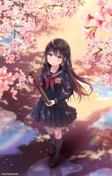 Rule 34 | 1girl, black serafuku, blue eyes, blue serafuku, blue skirt, blush, branch, cherry blossoms, commentary request, company name, copyright request, day, diploma, floating hair, fukahire (ruinon), graduation, kneehighs, loafers, long hair, looking at viewer, petals, pleated skirt, puddle, rainbow, reflection, school uniform, serafuku, shade, shoes, sidelocks, skirt, smile, socks, solo, standing