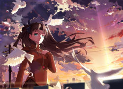 Rule 34 | 1girl, bird, brown hair, cloud, cloudy sky, dove, fate/stay night, fate (series), green eyes, hair ribbon, highres, jewelry, long hair, looking at viewer, pendant, ribbon, skirt, sky, solo, sunrise, tohsaka rin, two side up, yunsang