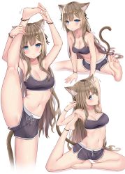 Rule 34 | 1girl, 3:, absurdres, akino ell, animal ear fluff, animal ears, arm up, armpits, bare arms, bare shoulders, barefoot, between legs, black shirt, black shorts, blue eyes, breasts, brown hair, cat ears, cat girl, cat tail, cleavage, crop top, dolphin shorts, exercising, feet, hair ornament, hairclip, highres, huge filesize, large breasts, leg lift, lifted by self, long hair, looking at viewer, midriff, multiple views, navel, original, shirt, short shorts, shorts, simple background, sleeveless, sleeveless shirt, spaghetti strap, split, standing, standing on one leg, standing split, stomach, stretching, sweat, tail, thighs, very long hair, white background