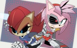 Rule 34 | 2girls, amy rose, black sclera, blue eyes, claws, colored sclera, cyborg, furry, furry female, green eyes, heterochromia, highres, mecha sally, mechanical parts, multiple girls, pink hair, red eye, red hair, risziarts, robot, robot girl, rusty rose, sally acorn, serious, sonic (series), sonic prime, sonic the hedgehog (archie comics)