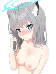 Rule 34 | 1girl, absurdres, animal ear fluff, animal ears, blue archive, blue eyes, blush, breasts, cat ears, embarrassed, grey hair, halo, head tilt, highres, holding, holding own hair, long hair, looking at viewer, medium breasts, nipples, nose blush, nude, shiroko (blue archive), simple background, solo, upper body, white background, yukamikayu