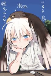 Rule 34 | 1girl, aged down, animal, animal on head, bird, bird on head, blue eyes, eagle, feathers, frown, hanna-justina marseille, head rest, long hair, lowres, on head, scratches, shimada fumikane, solo, strike witches, sweatdrop, translated, white hair, witches of africa, world witches series