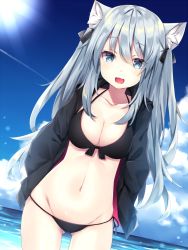 Rule 34 | 1girl, :3, :d, animal ear fluff, animal ears, bikini, black bikini, black jacket, black ribbon, blue eyes, blue hair, blue sky, blush, breasts, cat ears, cleavage, cloud, collarbone, commentary request, cowboy shot, day, dutch angle, front-tie bikini top, front-tie top, gluteal fold, hair between eyes, hair ribbon, highres, jacket, komomo (ptkrx), long hair, looking at viewer, medium breasts, navel, ocean, open clothes, open jacket, open mouth, original, outdoors, ribbon, side-tie bikini bottom, sky, smile, solo, sun, swimsuit, two side up, very long hair
