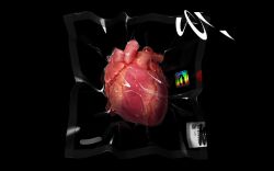 Rule 34 | absurdres, bag, barcode, black background, heart (organ), highres, iren krkt, no humans, organs, original, plastic bag, simple background