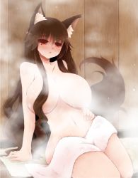Rule 34 | 1girl, animal ears, arano oki, arm support, blush, breasts, brown hair, censored, convenient censoring, highres, huge breasts, imaizumi kagerou, large breasts, long hair, navel, nude, red eyes, solo, steam, steam censor, tail, touhou, towel, wolf ears, wolf tail