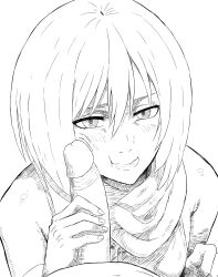 Rule 34 | 1boy, 1girl, absurdres, ananab, blush, closed mouth, hair between eyes, highres, lips, looking at viewer, mikasa ackerman, monochrome, penis on face, pov, pov crotch, scarf, self-upload, shingeki no kyojin, short hair, sketch, smile, solo focus, uncensored