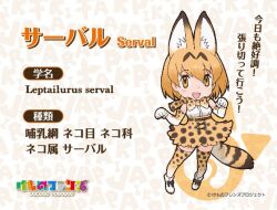 Rule 34 | 1girl, animal ears, extra ears, kemono friends, looking at viewer, official art, serval (kemono friends), simple background, solo, tail, yoshizaki mine
