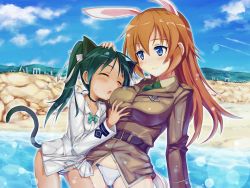 Rule 34 | 2girls, animal ears, beach, cat ears, cat tail, charlotte e. yeager, day, francesca lucchini, multiple girls, panties, rabbit ears, rabbit girl, shinashi (elside), strike witches, striped clothes, striped panties, tail, underwear, world witches series