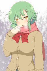 Rule 34 | 10s, 1girl, blush, bow, bowtie, breasts, breath, cardigan, green hair, hair ornament, hairclip, highres, hikage (senran kagura), ichiryuu tsumiki, impossible clothes, large breasts, long sleeves, looking at viewer, parted lips, pink scarf, red bow, red bowtie, scarf, senran kagura, short hair, slit pupils, snowflakes, snowing, solo, upper body, yellow eyes