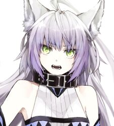 Rule 34 | 1girl, ahoge, animal ears, atalanta (fate), atalanta alter (fate), bare shoulders, black dress, braid, breasts, cat ears, cat tail, collar, detached sleeves, dress, fangs, fate/apocrypha, fate/grand order, fate (series), french braid, green eyes, grey hair, highres, kino kokko, long hair, looking at viewer, medium breasts, open mouth, solo, tail
