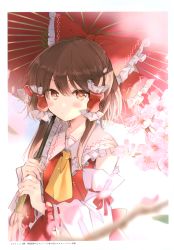 Rule 34 | 1girl, absurdres, ascot, beni shake, bloom, blush, brown eyes, brown hair, detached sleeves, expressionless, flower, flower request, frilled hair tubes, frilled shirt collar, frills, hair between eyes, hair tubes, hakurei reimu, highres, holding, holding umbrella, long sleeves, looking at viewer, non-web source, pink flower, red vest, scan, short hair with long locks, solo, touhou, umbrella, upper body, vest, yellow ascot