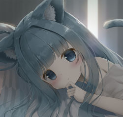Rule 34 | 1girl, animal ear fluff, animal ears, bed, blue eyes, blue hair, blush, cat ears, cat tail, child, close-up, hand to own mouth, indoors, kotonoha aoi, long hair, looking at viewer, lying, on stomach, original, psyche3313, ribbon, shirt, solo, tail, upper body, voiceroid, white shirt