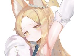 Rule 34 | 1girl, animal ear fluff, animal ears, arm up, armpits, black necktie, blonde hair, blue archive, closed mouth, collared dress, detached sleeves, dokomon, dress, flower, halo, highres, long hair, long sleeves, looking at viewer, necktie, parted bangs, puffy long sleeves, puffy sleeves, seia (blue archive), simple background, sleeveless, sleeveless dress, solo, upper body, white background, white dress, white flower, white sleeves, yellow eyes