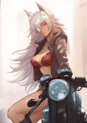 Rule 34 | 1girl, absurdres, animal ears, bandages, bra, breasts, cat ears, cigarette, cleavage, commentary request, eyepatch, ghislaine dedoldia, green shorts, highres, jacket, large breasts, leather, leather jacket, motor vehicle, motorcycle, muscular, muscular female, mushoku tensei, one-eyed, red bra, shiro font, shorts, solo, underwear