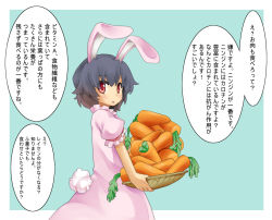 Rule 34 | 1girl, animal ears, bad id, bad pixiv id, basket, black hair, carrot, carrying, check translation, female focus, inaba tewi, niji sugi, rabbit ears, rabbit girl, rabbit tail, red eyes, short hair, solo, tail, touhou, translated, translation request