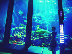 Rule 34 | 1girl, anko anko, aquarium, backlighting, bag, bare shoulders, commentary, dress, fish, from side, glowing, hand on glass, handbag, highres, meiko (vocaloid), photo-referenced, plant, scenery, short hair, sleeveless, sleeveless dress, solo, standing, stingray, swordfish, underground, vocaloid, wide shot