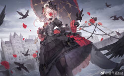 Rule 34 | 1girl, bird, black bird, black bow, black corset, black dress, black gloves, black ribbon, black thighhighs, black umbrella, bow, braid, breasts, building, cage, closed mouth, cloud, cloudy sky, corset, cross, crow, dress, earrings, elizabeth (masterwork apocalypse), falling petals, feet out of frame, flower, flower over eye, frilled sleeves, frilled umbrella, frills, gloves, hair flower, hair ornament, highres, holding, holding umbrella, jewelry, long sleeves, looking at viewer, masterwork apocalypse, official art, one eye covered, petals, pink hair, puffy long sleeves, puffy sleeves, red dress, red eyes, red flower, red rose, ribbon, rose, sang qi huabot, short hair with long locks, sidelocks, single earring, sky, small breasts, solo, striped clothes, striped thighhighs, symbol in eye, thighhighs, two-tone dress, umbrella, vertical-striped clothes, vertical-striped thighhighs, water, weibo logo, weibo watermark, wide sleeves