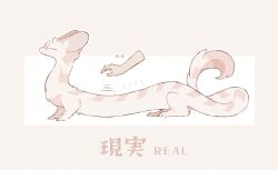 Rule 34 | animal focus, bilingual, closed eyes, disembodied limb, dragon, eastern dragon, english text, flying sweatdrops, from side, full body, highres, japanese text, mee (mee0118), mixed-language text, motion lines, original, outline, sketch, solo focus, standing, white outline
