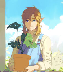 Rule 34 | 1boy, apron, blonde hair, blue apron, blue eyes, blue sky, closed mouth, cloud, cloudy sky, collared shirt, day, eorinamo, hair between eyes, highres, holding, holding plant, leaf, link, long sleeves, looking to the side, male focus, nintendo, outdoors, plant, pointy ears, potted plant, puffy long sleeves, puffy sleeves, shadow, shirt, short hair, sky, smile, solo, the legend of zelda, white shirt