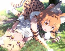 Rule 34 | 10s, 2girls, :&lt;, animal ears, bare shoulders, blonde hair, blurry, blush, bow, bowtie, cat ears, cat tail, dappled sunlight, day, depth of field, elbow gloves, fang, gloves, goribote, grass, kemono friends, looking at viewer, lying, lying on person, multicolored hair, multiple girls, on back, on stomach, open mouth, outdoors, paw pose, sand cat (kemono friends), serval (kemono friends), serval print, serval tail, shade, shirt, short hair, skirt, sleeveless, smile, streaked hair, sunlight, tail, thighhighs, tree shade, white shirt, yellow eyes
