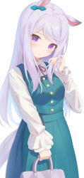 Rule 34 | 1girl, animal ears, bag, blush, bow, closed mouth, dress, ear ribbon, green dress, green ribbon, hachinatsu, hand in own hair, highres, holding, holding bag, horse ears, horse girl, horse tail, long hair, long sleeves, looking at viewer, mejiro mcqueen (umamusume), purple eyes, purple hair, purple ribbon, ribbon, shirt, simple background, solo, tail, umamusume, white background, white shirt
