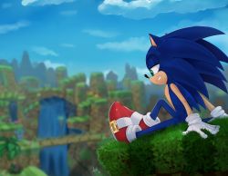 Rule 34 | 1boy, animal ears, animal nose, artist name, blue fur, blue hair, blue sky, blurry, blurry background, body fur, bridge, cliff, cloud, dated, day, from side, full body, furry, furry male, gloves, grass, green eyes, green hill zone, grin, half-closed eyes, highres, knee up, long hair, looking down, male focus, mountain, on ground, outdoors, red footwear, shoes, sideways mouth, signature, sitting, skeleion, sky, smile, solo, sonic (series), sonic the hedgehog, tail, teeth, two-tone fur, water, waterfall, white gloves