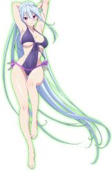 Rule 34 | 1girl, arm up, armpits, artist request, bad source, breasts, chidorigafuchi aine, highleg, large breasts, long hair, masou gakuen hxh, one-piece swimsuit, swimsuit, tagme, very long hair