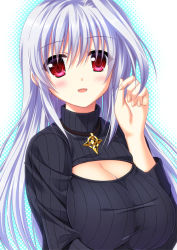 Rule 34 | 00s, 1girl, blush, breasts, cleavage, cleavage cutout, clothing cutout, endori, jewelry, large breasts, long hair, lyrical nanoha, mahou shoujo lyrical nanoha, md5 mismatch, meme attire, necklace, open-chest sweater, red eyes, reinforce, resolution mismatch, ribbed sweater, silver hair, single hair intake, solo, source smaller, sweater, turtleneck, upper body