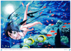 Rule 34 | 1girl, absurdres, barefoot, bikini, black hair, brown eyes, bubble, coral, errant, fish, freediving, highres, image sample, k-on!, long hair, nakano azusa, open mouth, solo, swimming, swimsuit, twintails, underwater, water