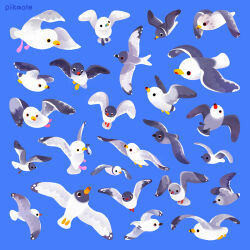 Rule 34 | animal, animal focus, artist name, bird, black eyes, blue background, commentary, english commentary, fish, flying, mouth hold, no humans, original, pikaole, seagull, simple background, solid circle eyes, watermark