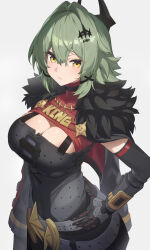 1girl black_horns black_jacket breasts caesar_king_(zenless_zone_zero) cleavage closed_mouth from_above fur-trimmed_jacket fur_trim green_hair hair_between_eyes hair_intakes hair_ornament hand_on_own_hip highres horns jacket large_breasts long_hair looking_at_viewer mechanical_arms prosthesis prosthetic_arm reulem single_mechanical_arm solo yellow_eyes zenless_zone_zero