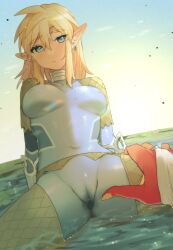 Rule 34 | 1boy, 1girl, blonde hair, blush, breasts, cameltoe, cleft of venus, covered erect nipples, day, earrings, genderswap, genderswap (mtf), highres, jewelry, large breasts, link, nintendo, outdoors, pointy ears, shiny clothes, sidon, sitting, solo focus, spread legs, the legend of zelda, the legend of zelda: breath of the wild, ttanuu.