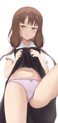 Rule 34 | 1girl, absurdres, black dress, blush, bow, bow panties, breasts, brown eyes, brown hair, closed mouth, clothes lift, coro fae, dress, dress lift, embarrassed, highres, iino miko, kaguya-sama wa kokurasetai ~tensai-tachi no renai zunousen~, leg up, lifting own clothes, long hair, looking to the side, low twintails, panties, school uniform, shirt, short sleeves, shuuchiin academy school uniform, simple background, small breasts, solo, summer uniform, twintails, underwear, white background, white shirt