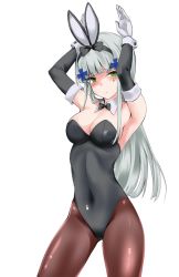 Rule 34 | 1girl, animal ears, arm warmers, bad id, bad pixiv id, black bow, black leotard, blush, bow, bowtie, breasts, brown pantyhose, covered navel, cowboy shot, degarashi pack, detached collar, facial mark, fake animal ears, flower, girls&#039; frontline, gloves, green eyes, hair flower, hair ornament, hands up, hk416 (girls&#039; frontline), leotard, long hair, looking at viewer, medium breasts, navel, pantyhose, playboy bunny, rabbit ears, simple background, solo, strapless, strapless leotard, white background, white gloves, white hair, wing collar, wrist cuffs