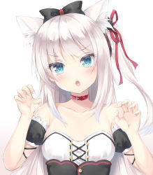 Rule 34 | 1girl, :o, animal ear fluff, animal ears, aqua eyes, azur lane, bad id, bad pixiv id, bare shoulders, black bow, blush, bow, buttons, cat ears, cat girl, collar, collarbone, detached sleeves, dress, flat chest, gao, hair ribbon, hammann (azur lane), hands up, long hair, looking at viewer, open mouth, red collar, red ribbon, ribbon, sakuba nao, short sleeves, simple background, solo, strapless, strapless dress, upper body, white background, white hair