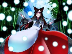 Rule 34 | 1girl, animal ears, bamboo, bamboo forest, brooch, fingernails, forest, grin, imaizumi kagerou, jewelry, kuon yashiro, lights, long fingernails, long hair, long sleeves, looking at viewer, nail polish, nature, red nails, shirt, skirt, smile, solo, tail, touhou, very long hair, wide sleeves, wolf ears