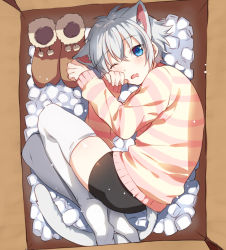 Rule 34 | 1boy, animal ears, bike shorts, black shorts, blue eyes, box, cat boy, cat ears, cat tail, fang, from above, ginjiro (ginziro525), ginjiro (vtuber), grey hair, grey tail, hair between eyes, hand on own cheek, hand on own face, in box, in container, long sleeves, looking at viewer, looking to the side, looking up, messy hair, one eye closed, open mouth, original, packing peanuts, shirt, shoes, short hair, shorts, skin fang, striped clothes, striped shirt, tail, thighhighs, trap, unworn shoes, virtual youtuber, white legwear