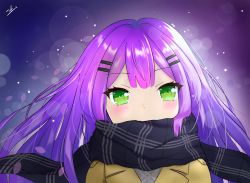Rule 34 | 1girl, blush, commentary, covered mouth, green eyes, hair down, hair ornament, hairclip, highres, hololive, nihm, purple hair, scarf, scarf over mouth, signature, solo, tokoyami towa, virtual youtuber