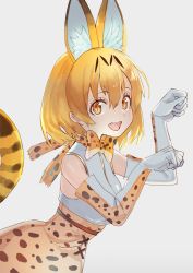 Rule 34 | 10s, 1girl, :d, animal ears, animal print, bow, bowtie, cat ears, cat tail, dress, elbow gloves, fangs, from side, gloves, grey background, hair between eyes, kemono friends, looking at viewer, open mouth, orange eyes, orange hair, paw pose, ruisento, serval (kemono friends), serval print, serval tail, simple background, sleeveless, sleeveless dress, slit pupils, smile, solo, tail, teeth, upper body