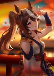 Rule 34 | 1girl, absurdres, animal ears, arm at side, arm up, blurry, blurry background, brown hair, cbi cbi, choker, clothing cutout, flower, hadanugi dousa, highres, horse ears, japanese clothes, kimono, late autumn the music echoes (umamusume), leaf, lips, long hair, long sleeves, looking at viewer, maple leaf, multicolored hair, obi, open clothes, open kimono, parted lips, ponytail, purple eyes, railing, sarashi, sash, shading eyes, shoulder cutout, solo, symboli rudolf (umamusume), umamusume, upper body