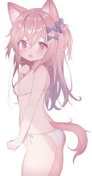 Rule 34 | 1girl, animal ears, bra, breasts, brown hair, d omm, dog ears, dog girl, dog tail, embarrassed, from side, hair between eyes, hair ornament, light blush, long hair, monochrome background, one side up, open mouth, original, panties, pink eyes, simple background, small breasts, sweatdrop, tail, underwear, underwear only, white background, white bra, white panties