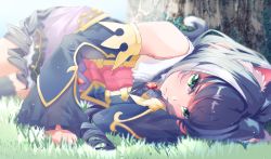 Rule 34 | 1girl, animal ear fluff, animal ears, black hair, blush, cat ears, cat tail, closed mouth, commentary request, detached sleeves, grass, green eyes, highres, karyl (princess connect!), long hair, lying, multicolored hair, murata ryou, on side, princess connect!, princess connect!, solo, streaked hair, tail, white hair