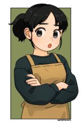 Rule 34 | 1girl, akai sashimi, apron, artist name, black eyes, black hair, black shirt, breasts, brown apron, crossed arms, green background, long sleeves, open mouth, original, outside border, ponytail, shirt, signature, small breasts, solo, upper body